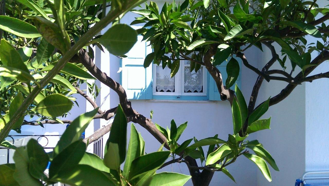 Sofia Holiday Studios Stafylos Exterior photo
